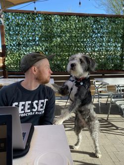 A photo of Jay and his dog Fern working at a coffee shop outside in Phoenix, AZ